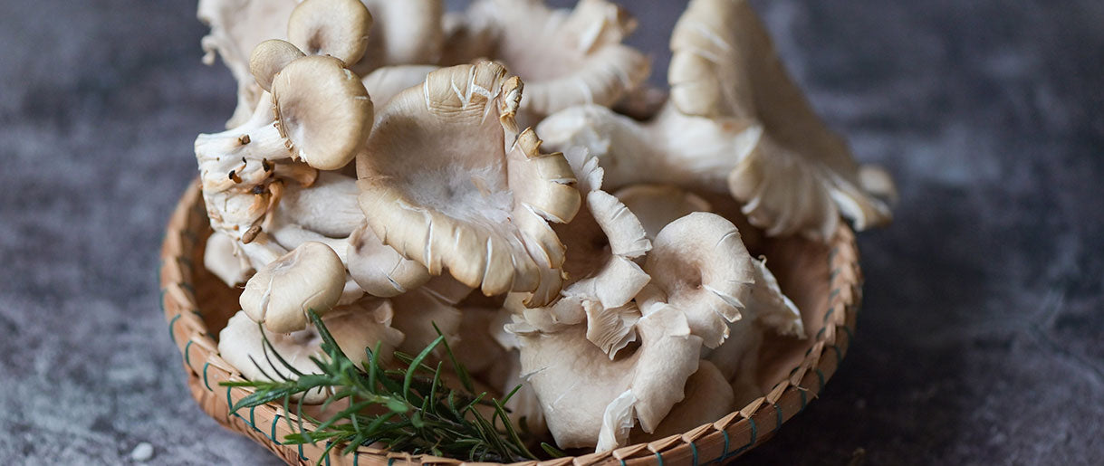 Oyster Mushrooms (Pleurotus ostreatus): Nutritional Power for Liver Health