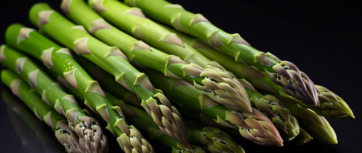 Prebiotics: Fuel for Your Friendly Bacteria