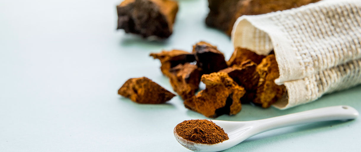 Raise Your Energy Levels With Morning Chaga Mushroom