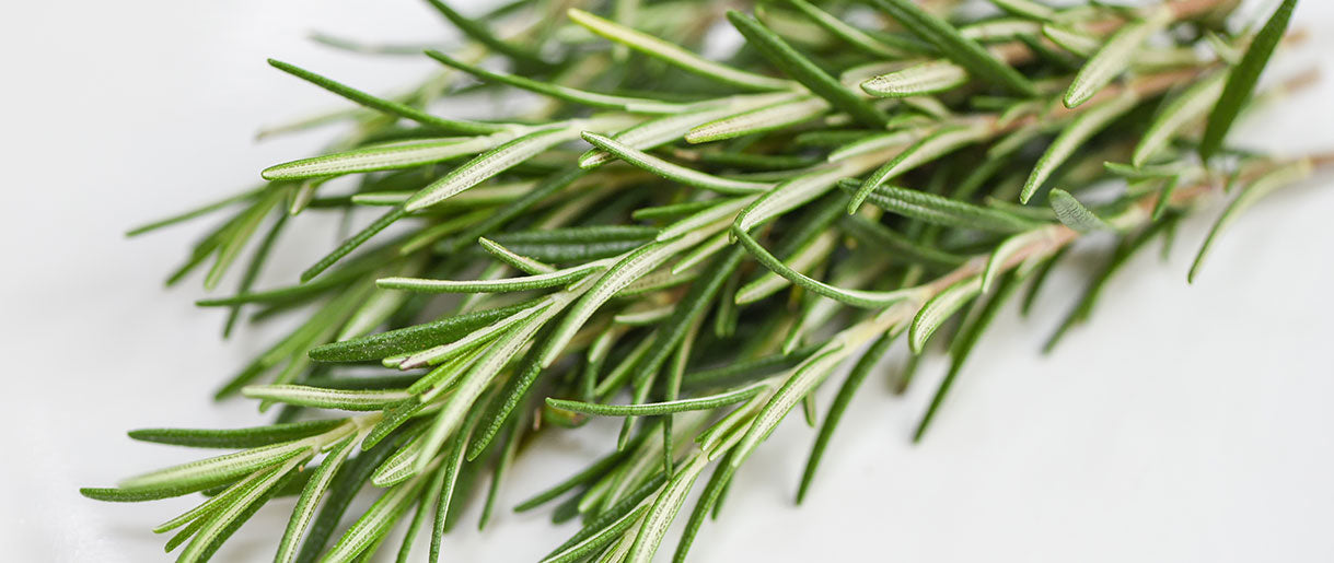 Rosemary