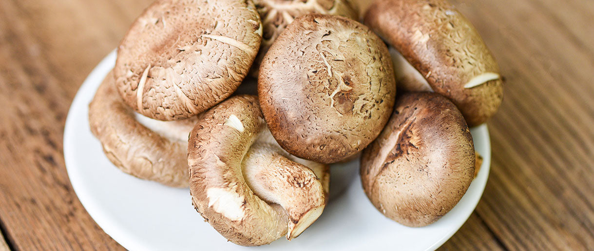 Shiitake Mushroom: The Heart's Companion