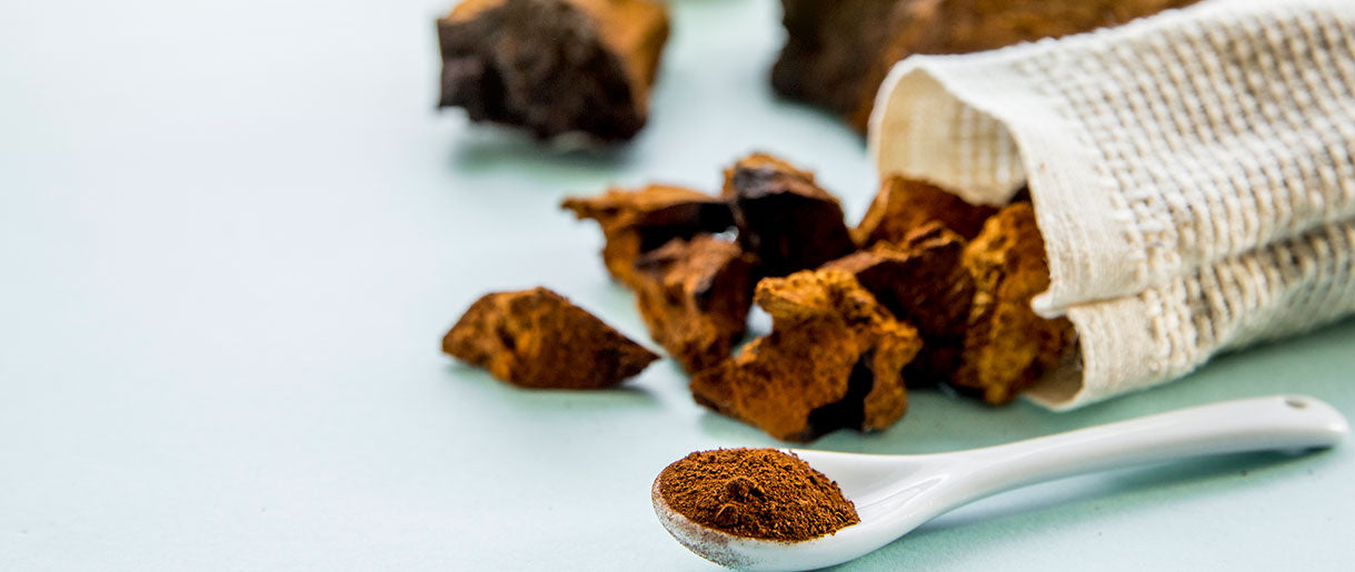 Tailoring Your Chaga Dosage: Personal Factors and Mushroom Form