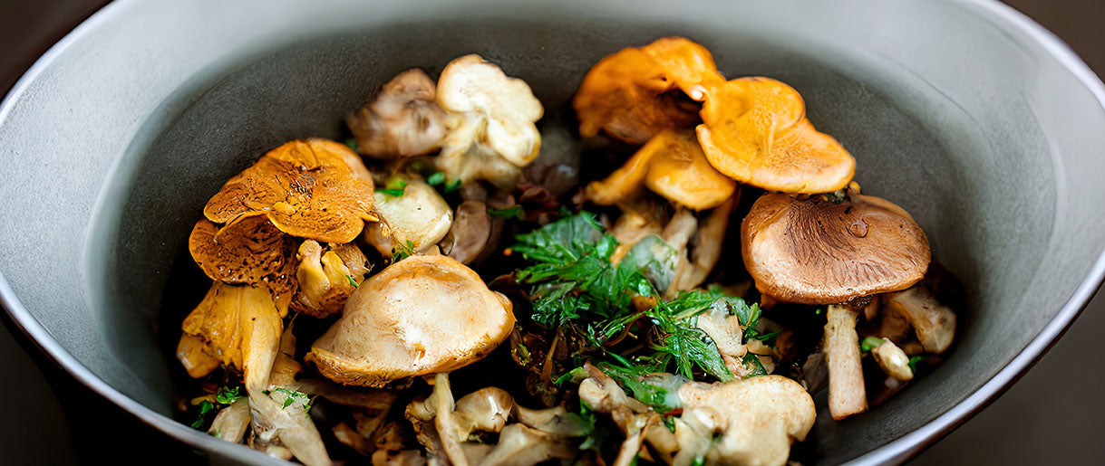 Tantalizing Mushroom Recipes