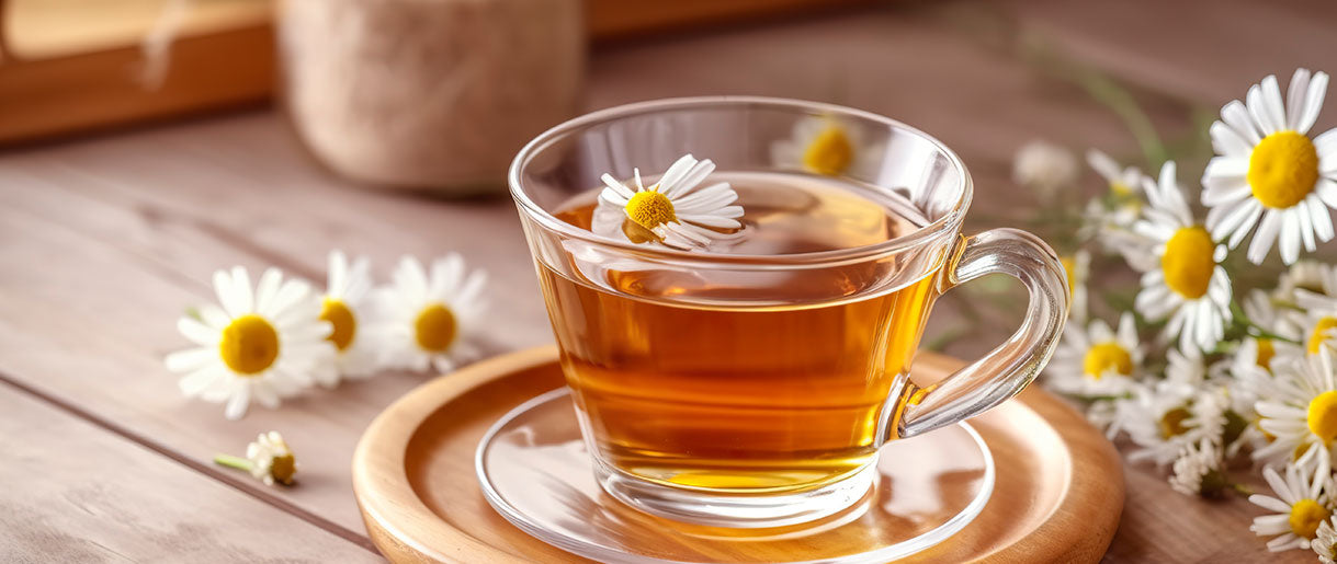 The Herbal Warrior: Echinacea Tea