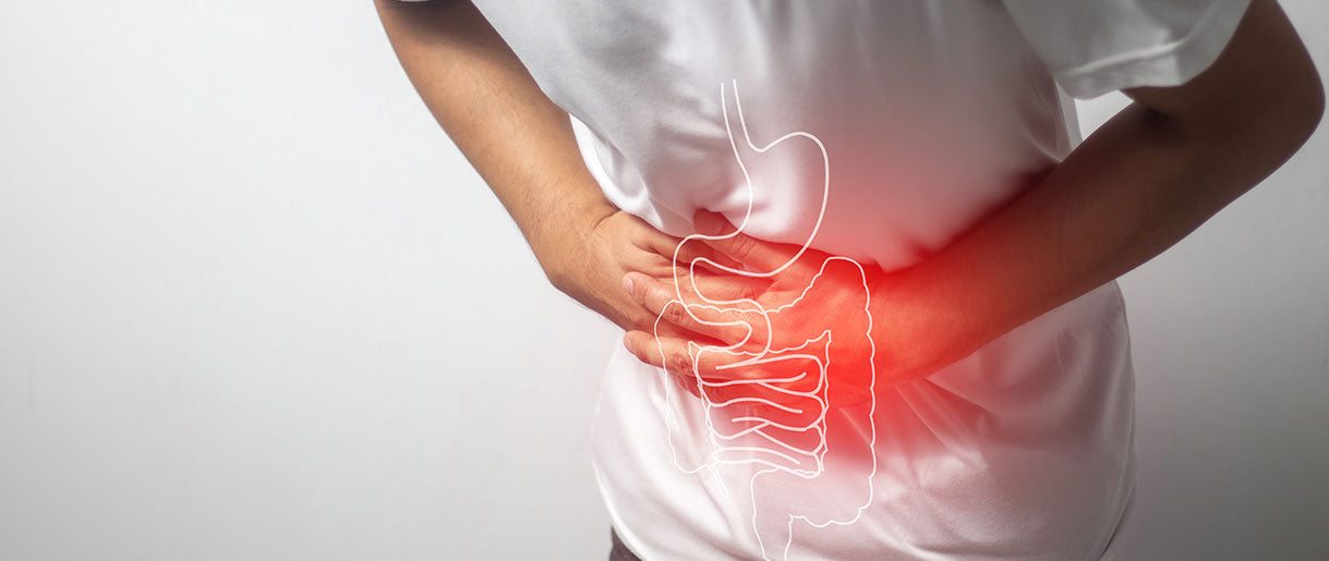 The Modern Dilemma: Challenges to a Healthy Gut