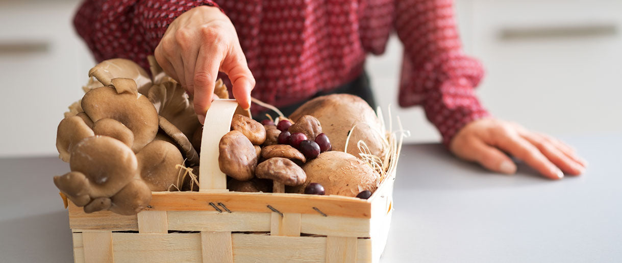 The Origins of Medicinal Mushrooms