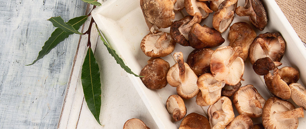 The Power of Fungi: Health Benefits of Mushrooms for Vegans