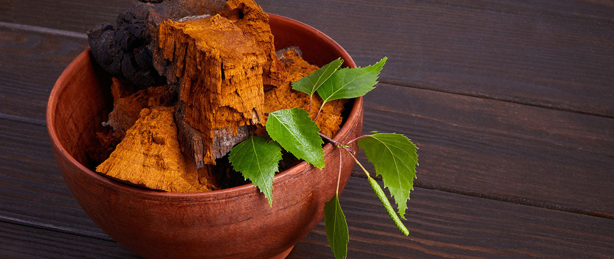 The Second Side of Chaga: The Concerns and Limitations