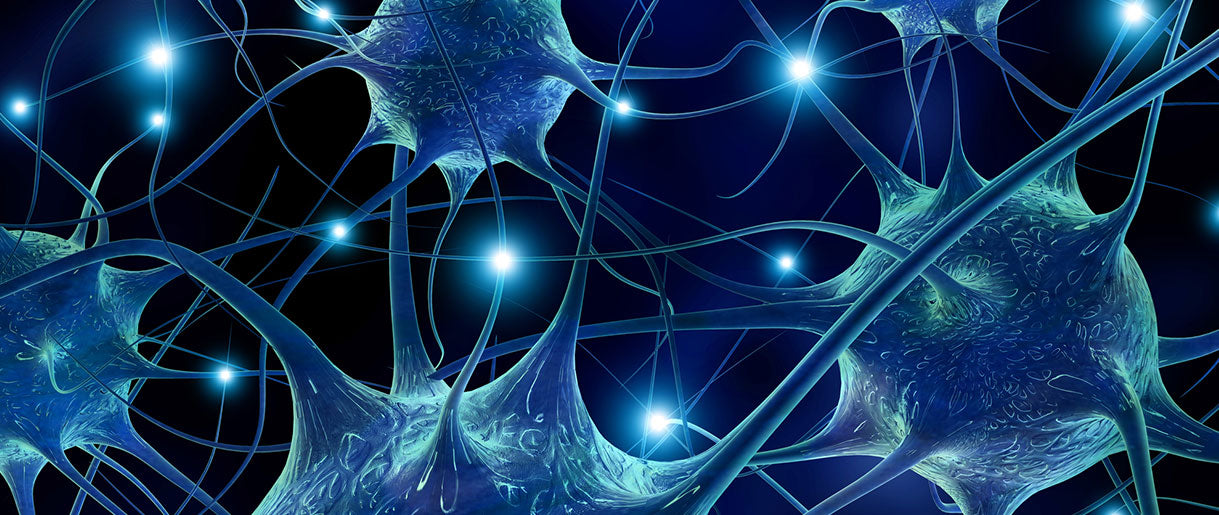 Understanding Neurogenesis: Importance and Factors Affecting This Process