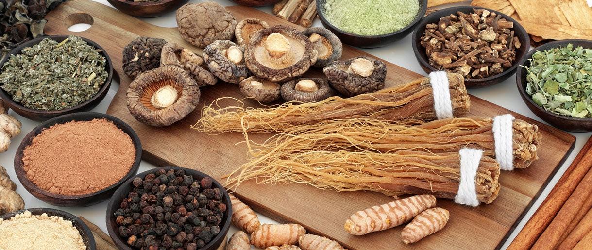 Understanding the Power of Adaptogens
