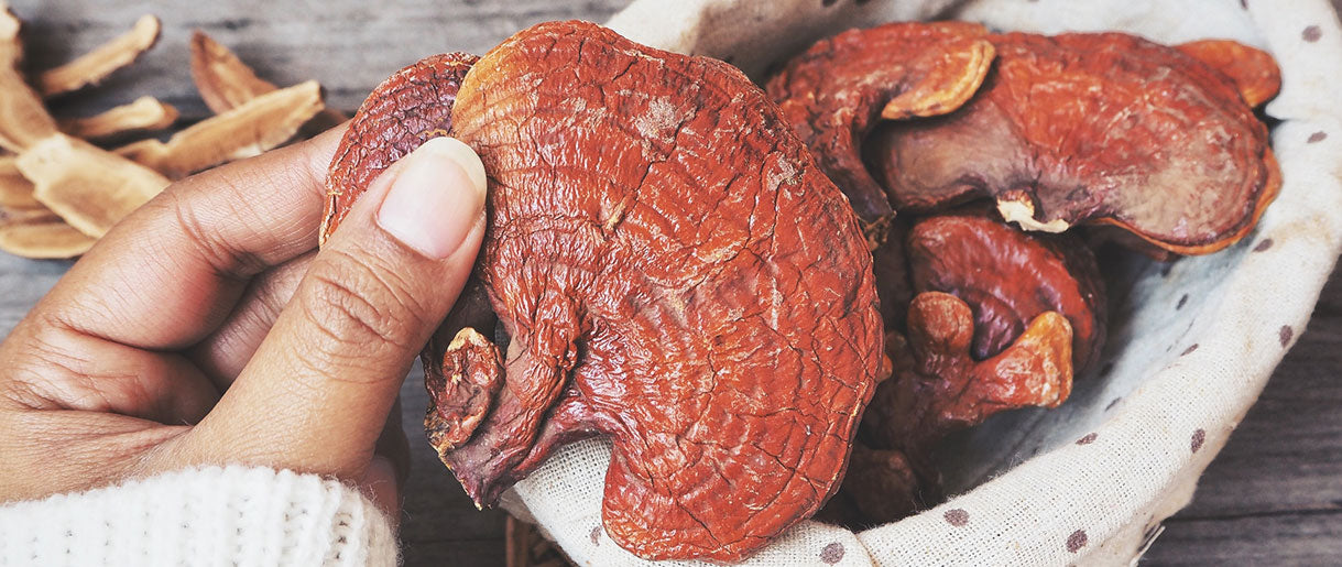 Unlocking the Health Benefits of Reishi Mushrooms