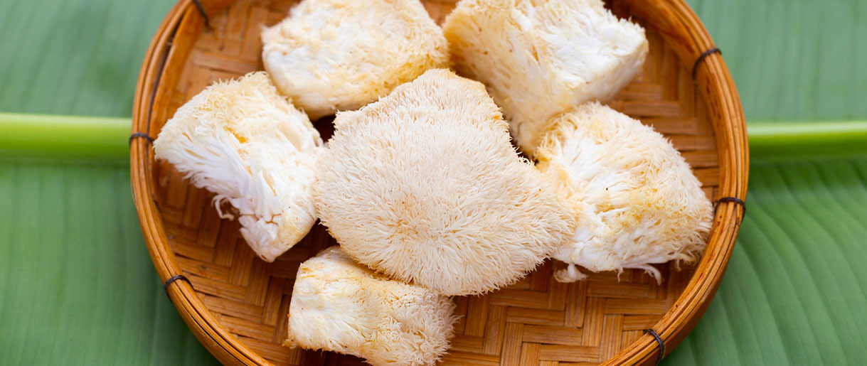 Unlocking the Potential: Health Benefits of Lion's Mane Mushroom