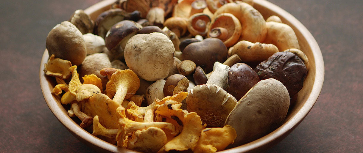 What Makes Mushrooms A Superfood?
