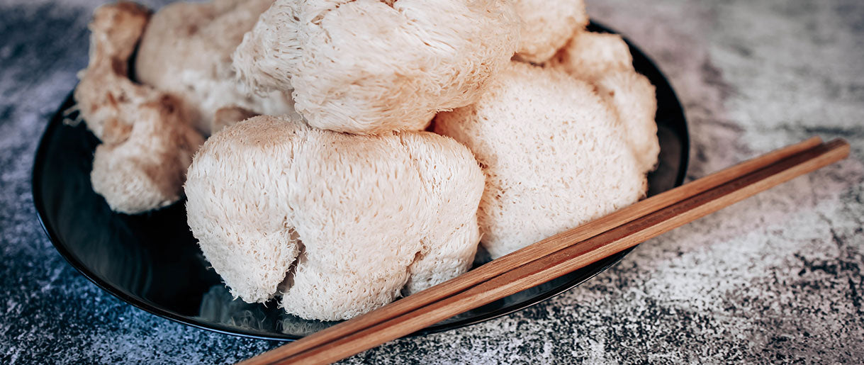 What is Lion's Mane Mushroom: Traditional Uses and Bioactive Compounds