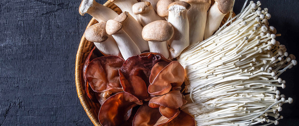 What on Earth is Mushroom Beta-Glucan?