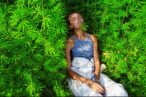 women lying down in a cannabis farm