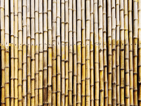 Wand aus Bambus