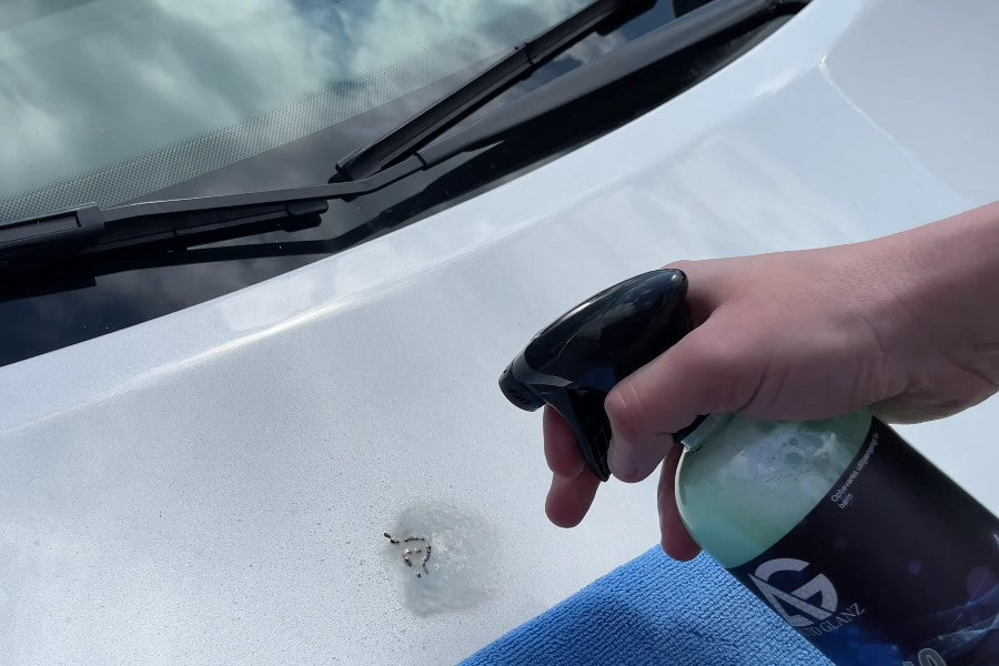 Bird poop removed sprayed on car