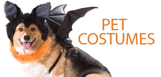 Rubies Hocus Pocus Mary Pet Costume Large