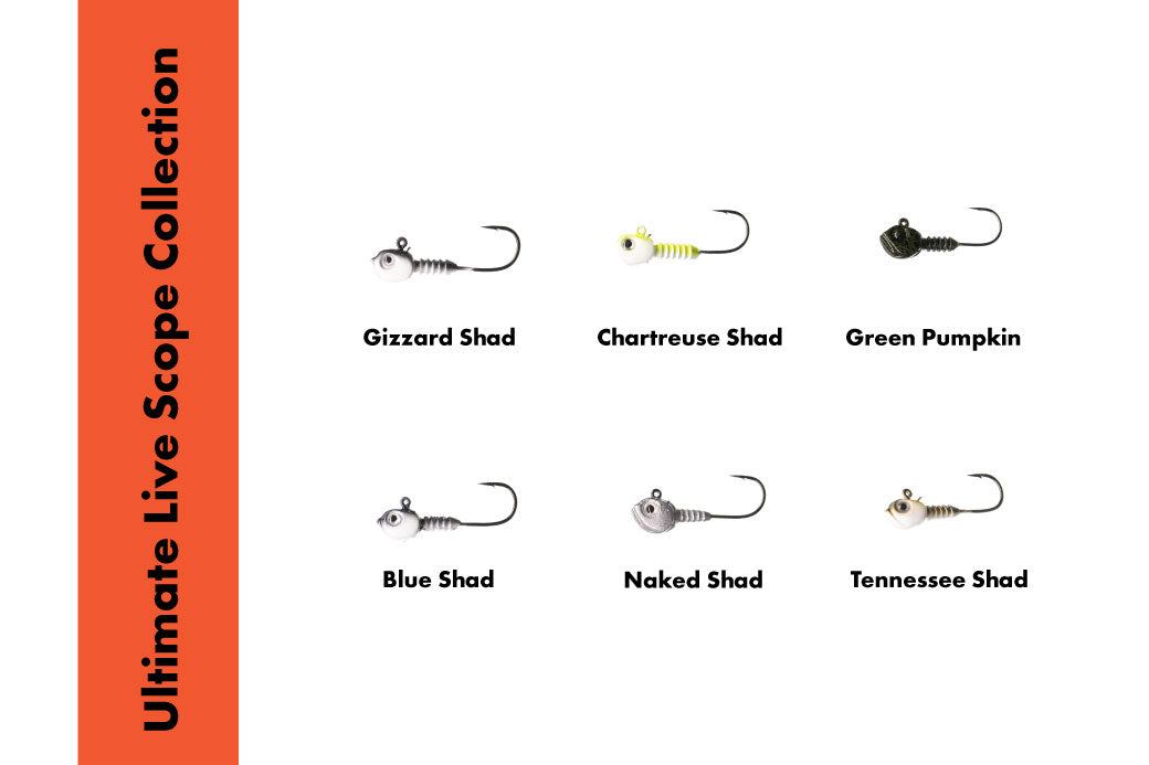 Ultimate Bottom Fishing Kit x Salt Warrior - Guppy Jigs