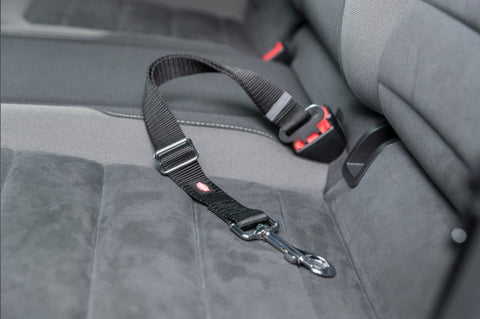 Dog Chain Car Seatbelt 