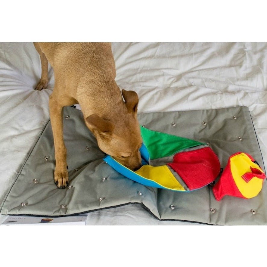 Buster Activity Mat —  Modern Dog Shop