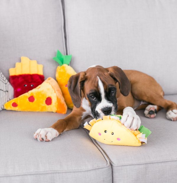 dog toy taco