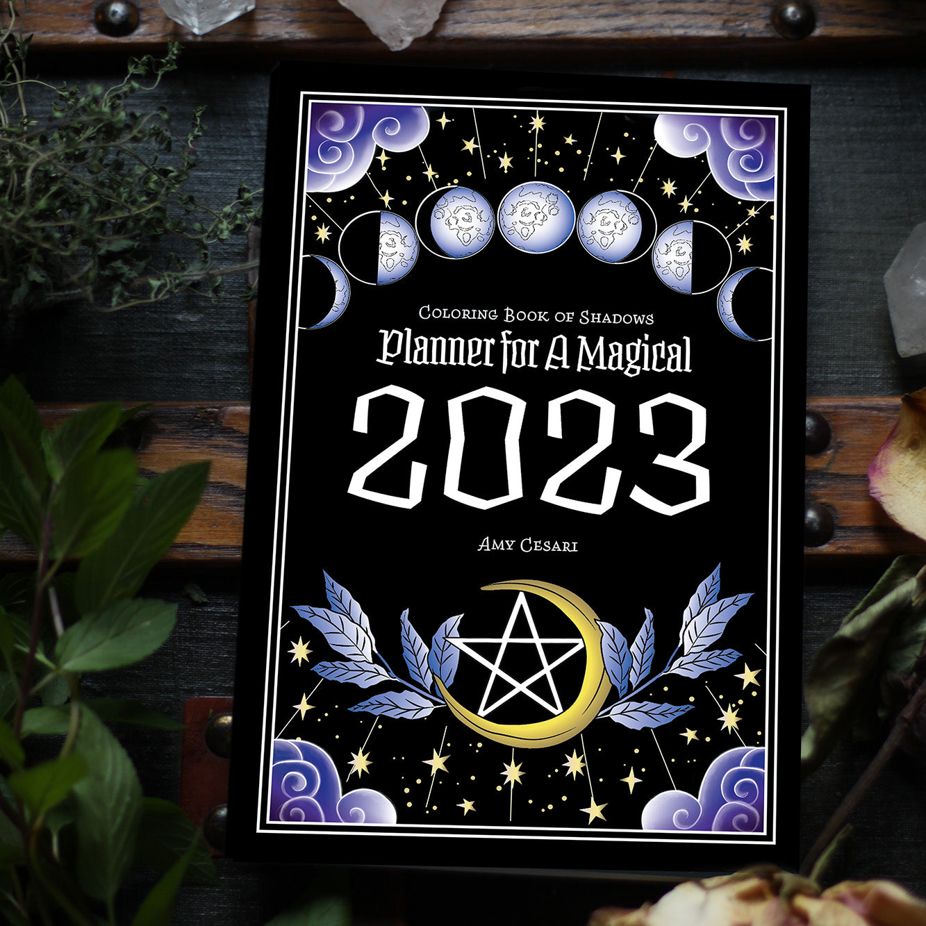 Coloring Book of Shadows: Planner for a Magical 2024 [Book]