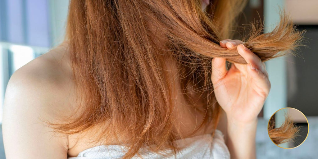 cheveux secs et cassants