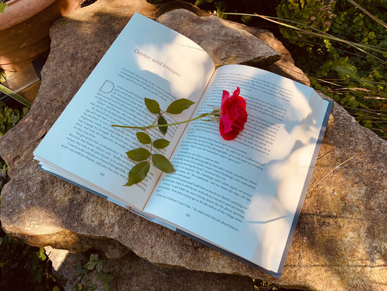 Book with flower 