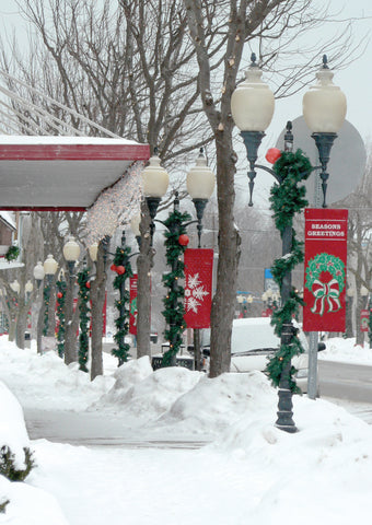 Watervilet, GA Garland and Pole Mounted Banners