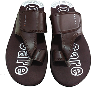 dr ortho chappal