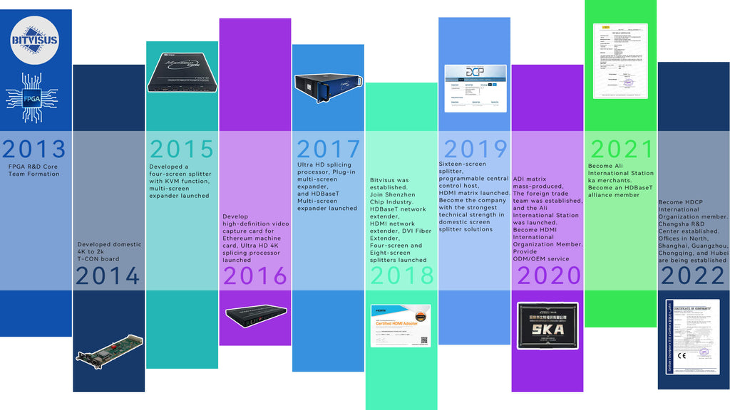 Bitvisus Company History