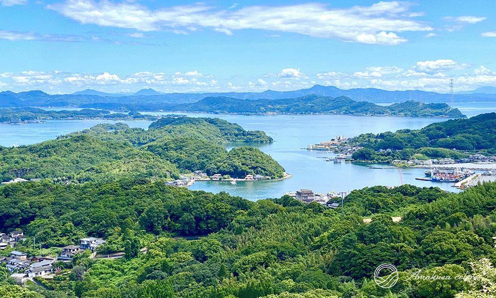 千巌山からの眺め