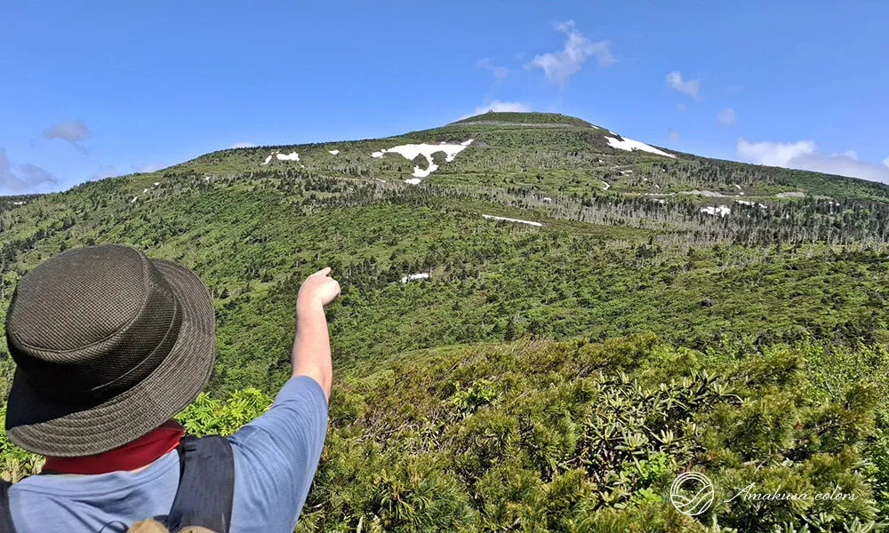 日帰りで楽しめるモデルの探し方と注意