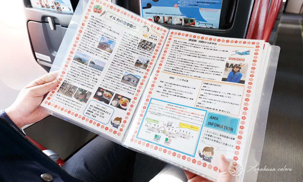 機内誌「イルカの空中散歩」