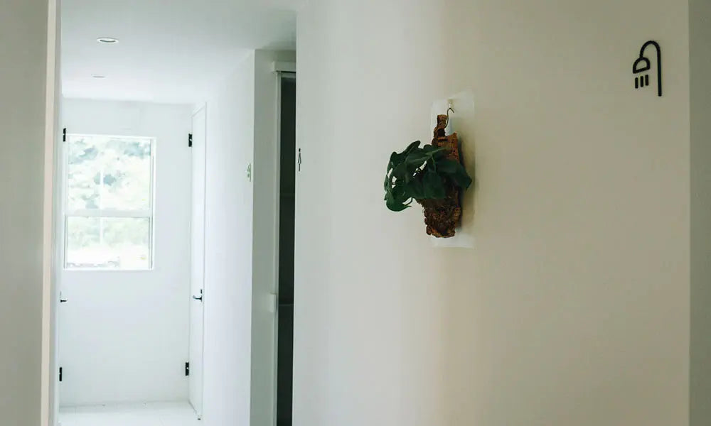 廊下