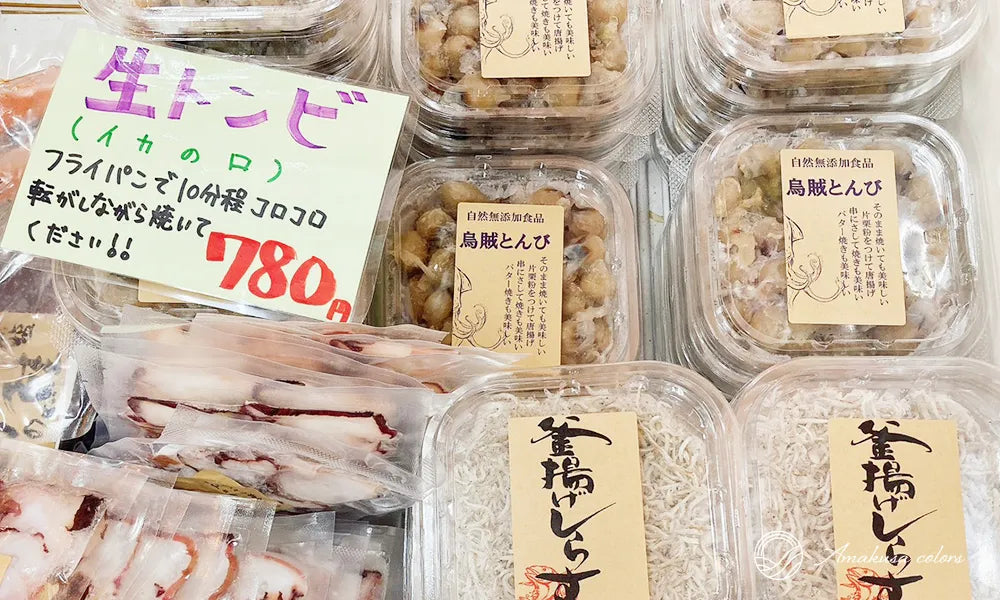 生トンビ（イカのくちばし）