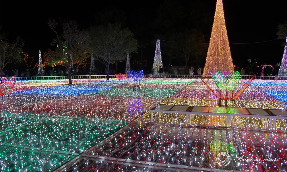 フローランテ宮崎