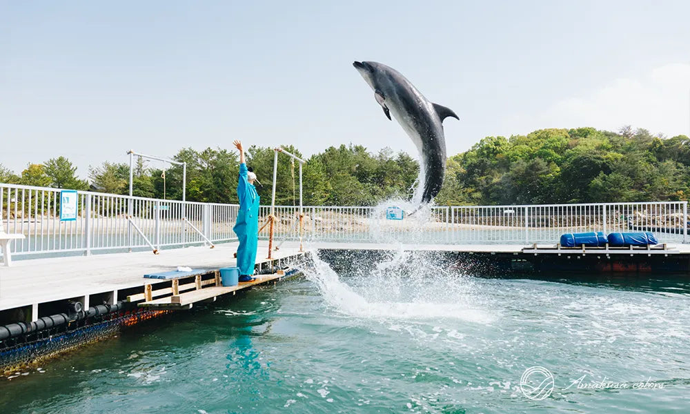 わくわく海中水族館 シードーナツ