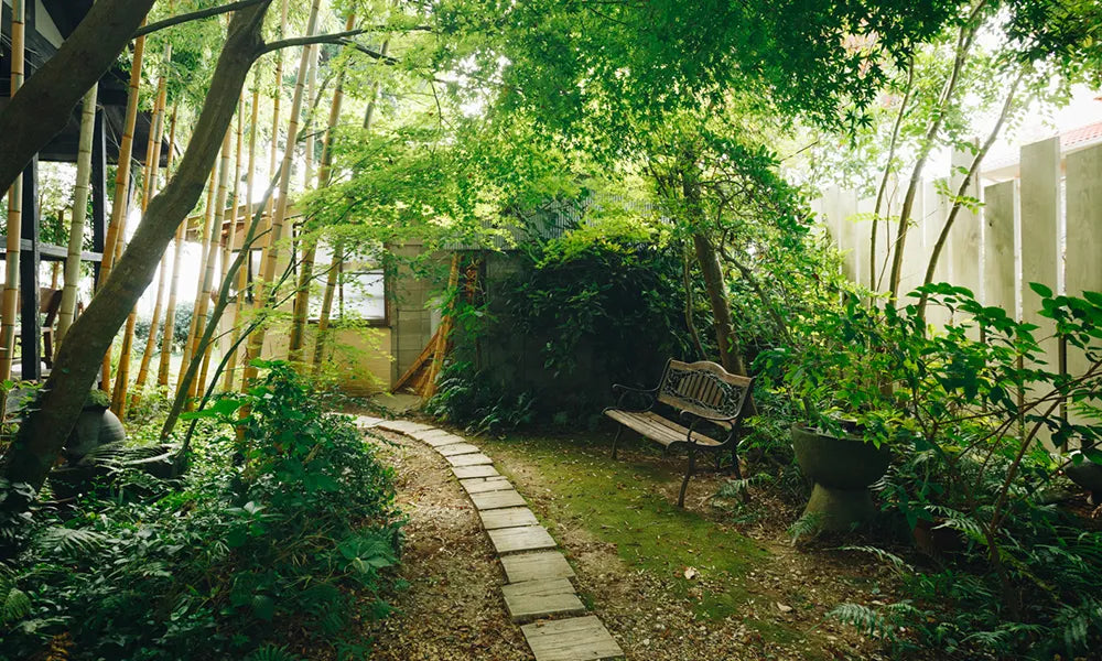 陶丘工房さんへの道