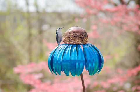 Blueberry Pie Bird feeder