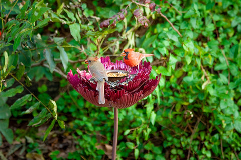 Peony Bird Feeder