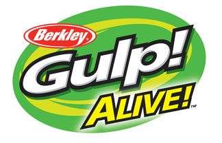 berkley-gulp-softbaits-grub-swimming-mullet.jpg