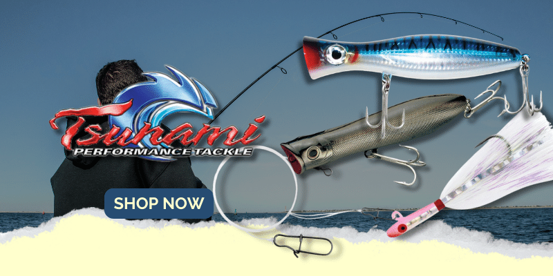 Striper Surf Fishing (Shore Essentials) – Hogy Lure Company Online Shop