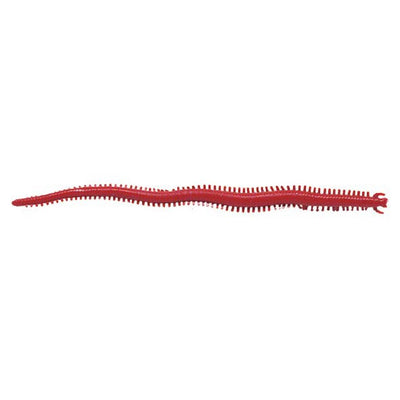 Dynabait Dry Sandworms 100 Natural Fishing Bait. Dyna Bait Whiting