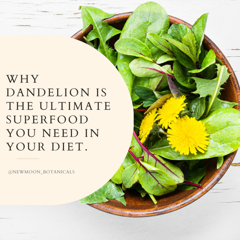 Dandelion Super Food