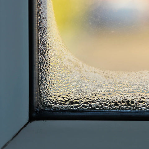 An image that shows water droplets and condensation collecting on a window inside a home setting