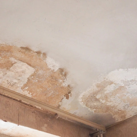 A photo of peeling wallpaper and damp spots on the inside ceiling of a UK home