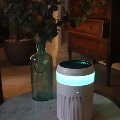 A Demi Air Purifier sitting on a table in dimly lit, cosy room next to a glass bottle with a plant in it